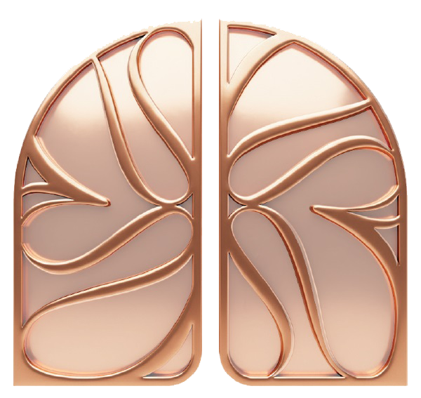 logo dự án khu đô thị an mai sơn hải phòng